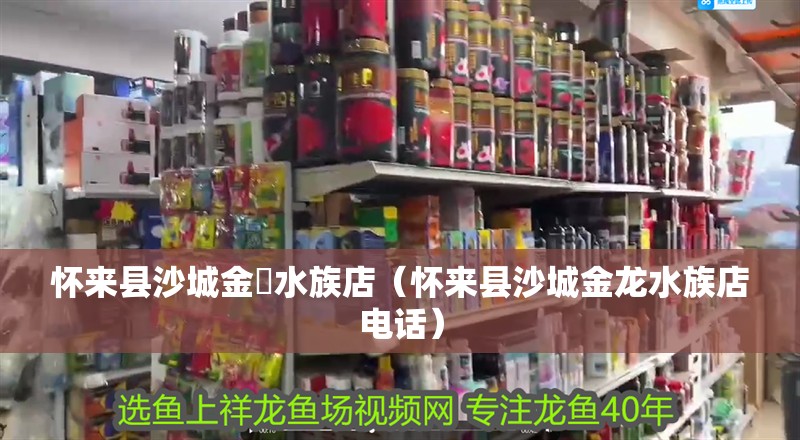 懷來縣沙城金龍水族店（懷來縣沙城金龍水族店電話）