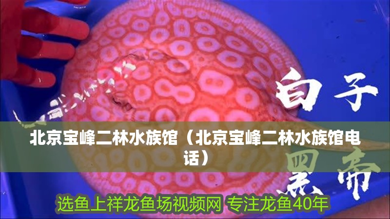 北京寶峰二林水族館（北京寶峰二林水族館電話）
