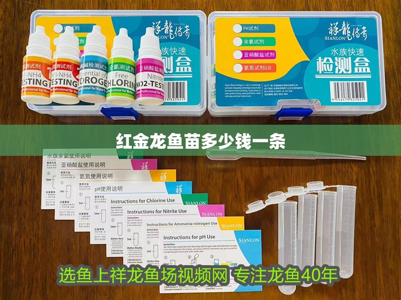 紅金龍魚苗多少錢一條