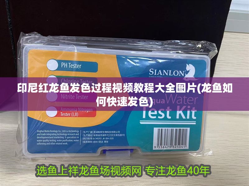 印尼紅龍魚發(fā)色過程視頻教程大全圖片(龍魚如何快速發(fā)色) 印尼紅龍魚發(fā)色過程視頻教程大全圖片(龍魚如何快速發(fā)色) 紅龍魚百科 第1張