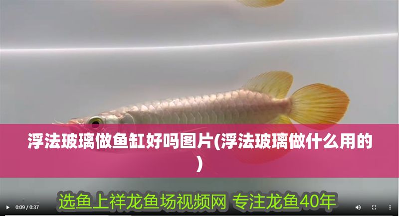 浮法玻璃做魚缸好嗎圖片(浮法玻璃做什么用的)