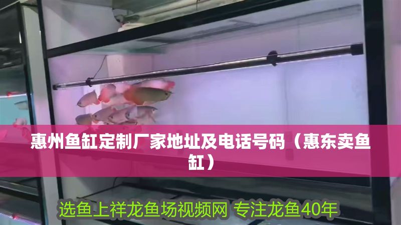 惠州魚缸定制廠家地址及電話號碼（惠東賣魚缸）
