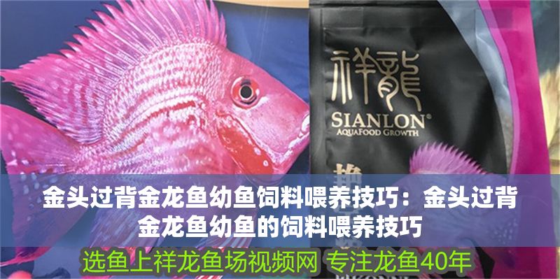 金頭過背金龍魚幼魚飼料喂養(yǎng)技巧：金頭過背金龍魚幼魚的飼料喂養(yǎng)技巧