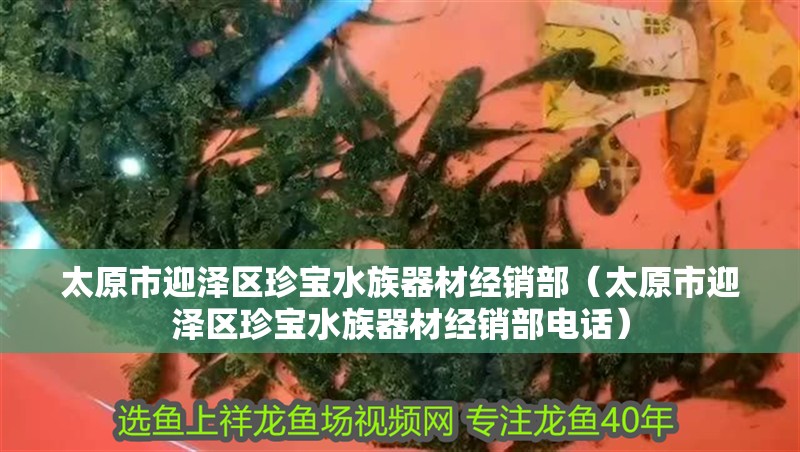 太原市迎澤區珍寶水族器材經銷部（太原市迎澤區珍寶水族器材經銷部電話）