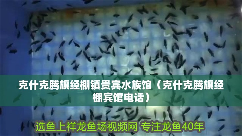 克什克騰旗經(jīng)棚鎮(zhèn)貴賓水族館（克什克騰旗經(jīng)棚賓館電話）