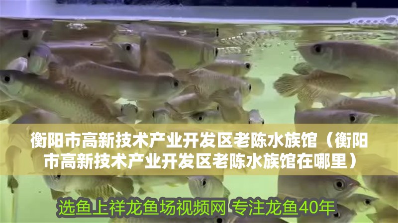 衡陽市高新技術產業開發區老陳水族館（衡陽市高新技術產業開發區老陳水族館在哪里）