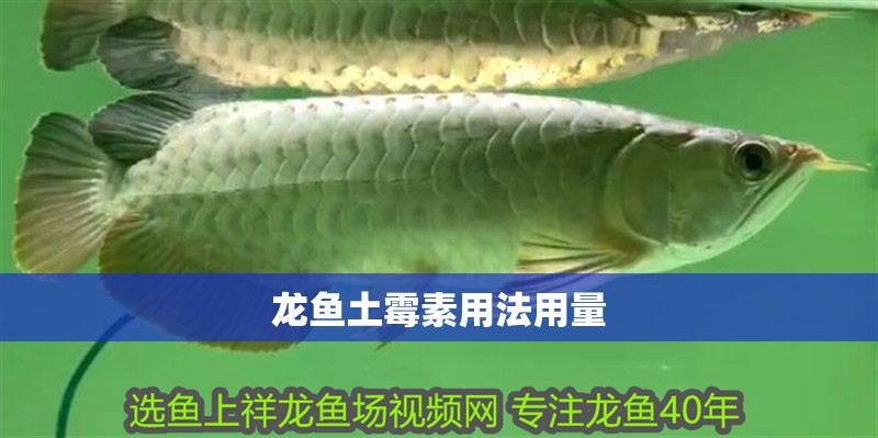 龍魚土霉素用法用量