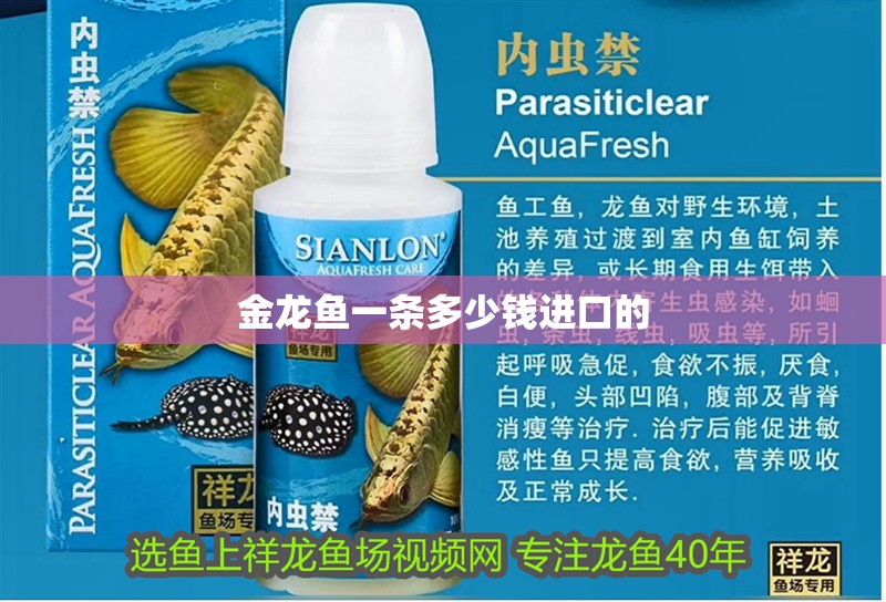 金龍魚(yú)一條多少錢(qián)進(jìn)口的 龍魚(yú)百科 第2張 金龍魚(yú)一條多少錢(qián)進(jìn)口的 金龍魚(yú)一條多少錢(qián)進(jìn)口的 龍魚(yú)百科 第2張