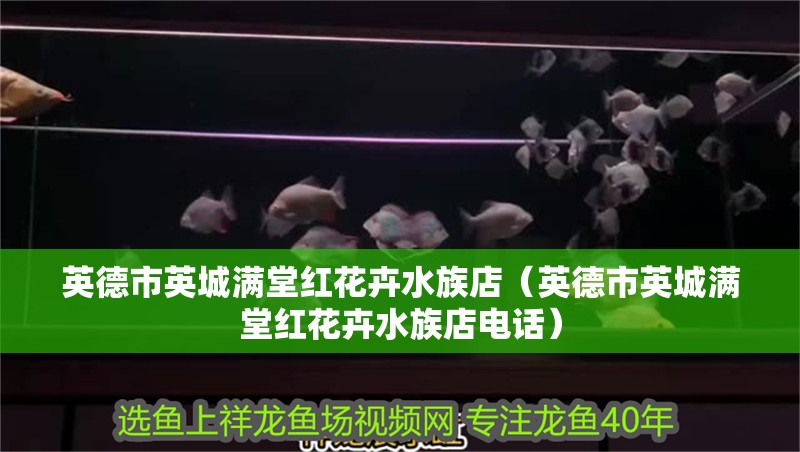 英德市英城滿堂紅花卉水族店（英德市英城滿堂紅花卉水族店電話）