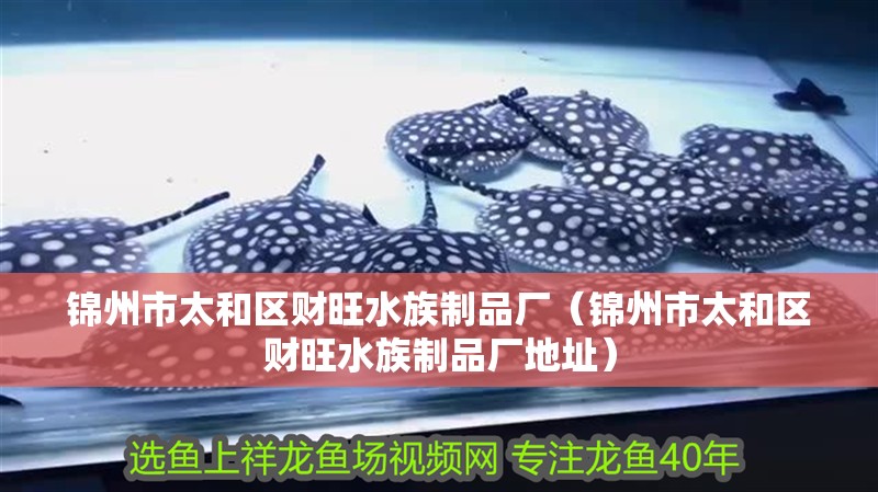 錦州市太和區財旺水族制品廠（錦州市太和區財旺水族制品廠地址）