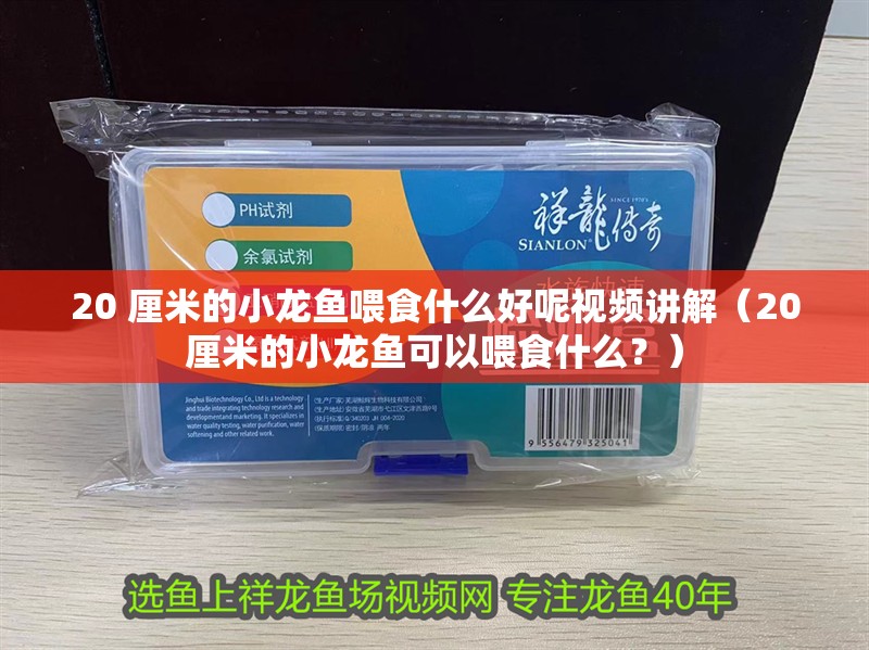 20 厘米的小龍魚喂食什么好呢視頻講解（20厘米的小龍魚可以喂食什么？）