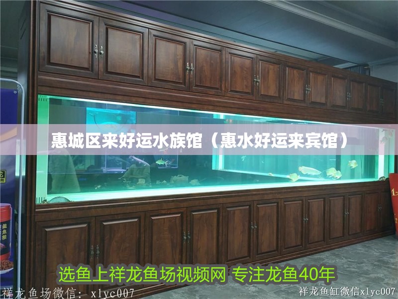 惠城區(qū)來(lái)好運(yùn)水族館（惠水好運(yùn)來(lái)賓館）