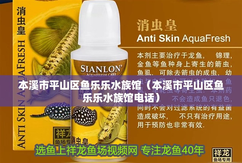 本溪市平山區(qū)魚(yú)樂(lè)樂(lè)水族館（本溪市平山區(qū)魚(yú)樂(lè)樂(lè)水族館電話）