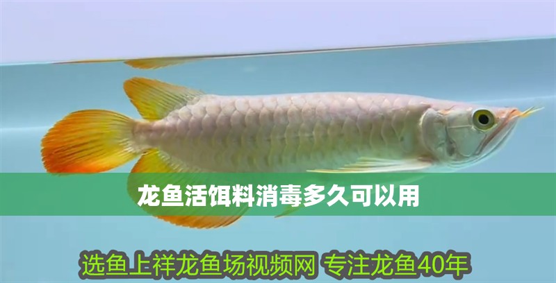 龍魚活餌料消毒多久可以用