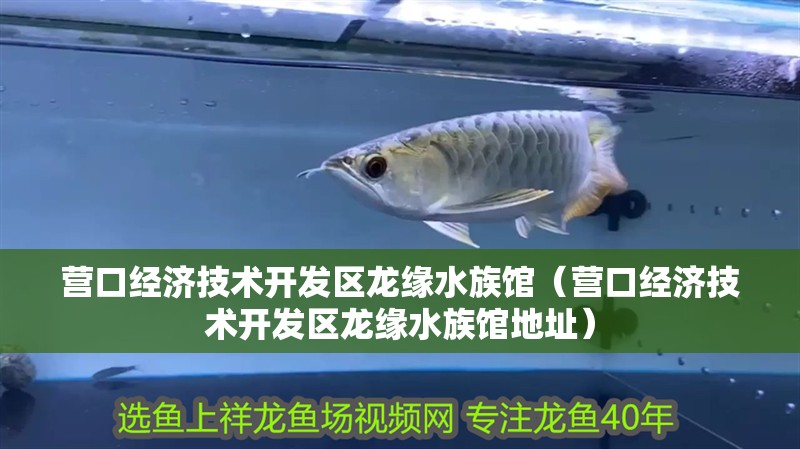 營口經濟技術開發區龍緣水族館（營口經濟技術開發區龍緣水族館地址）