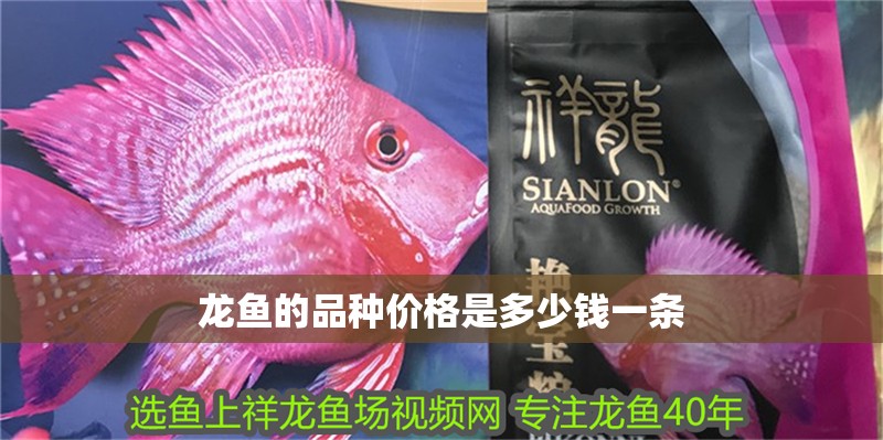 龍魚的品種價格是多少錢一條