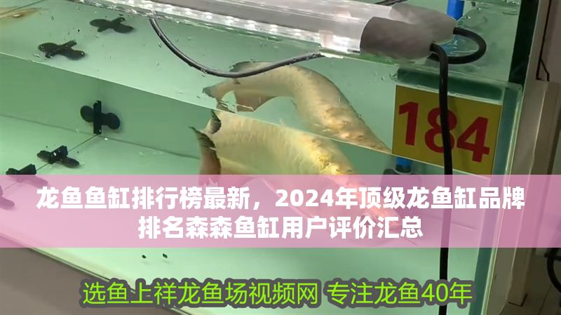 龍魚魚缸排行榜最新，2024年頂級(jí)龍魚缸品牌排名森森魚缸用戶評(píng)價(jià)匯總