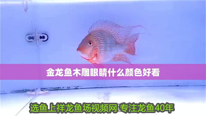 金龍魚木雕眼睛什么顏色好看