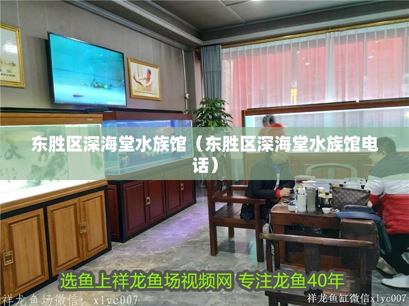 東勝區深海堂水族館（東勝區深海堂水族館電話）