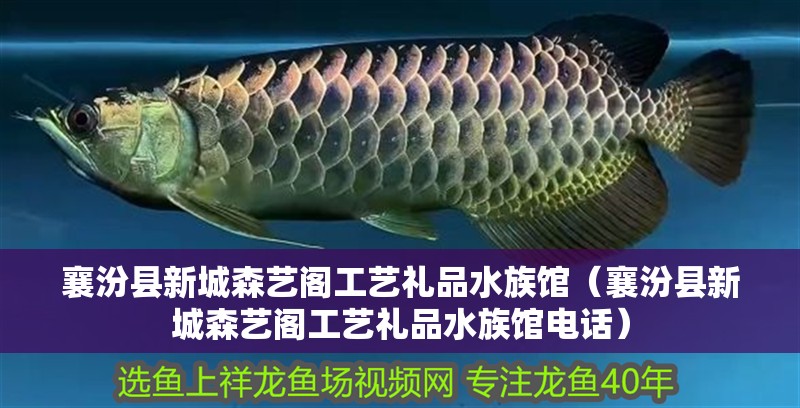 襄汾縣新城森藝閣工藝禮品水族館(襄汾縣新城森藝閣工藝禮品水族館電話) 全國水族館企業(yè)名錄 第2張 襄汾縣新城森藝閣工藝禮品水族館(襄汾縣新城森藝閣工藝禮品水族館電話) 襄汾縣新城森藝閣工藝禮品水族館(襄汾縣新城森藝閣工藝禮品水族館電話) 全國水族館企業(yè)名錄 第2張