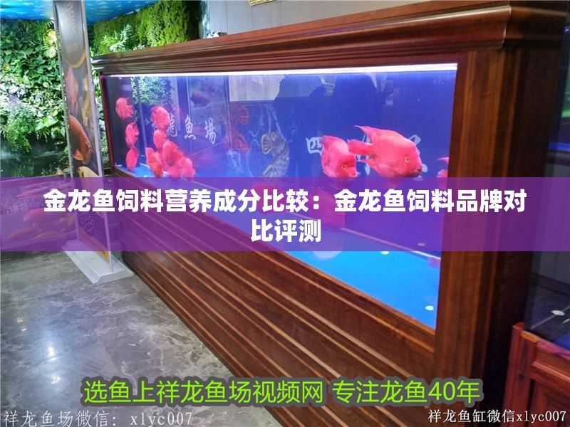 金龍魚飼料營養成分比較：金龍魚飼料品牌對比評測