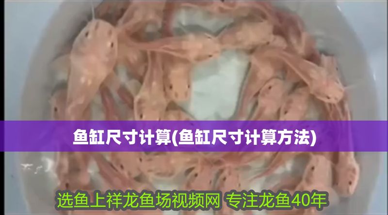 魚缸尺寸計算(魚缸尺寸計算方法) 魚缸尺寸計算(魚缸尺寸計算方法) 錦鯉魚百科 第1張