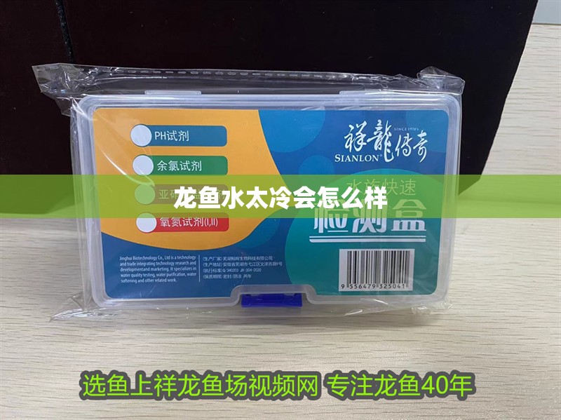 龍魚水太冷會怎么樣