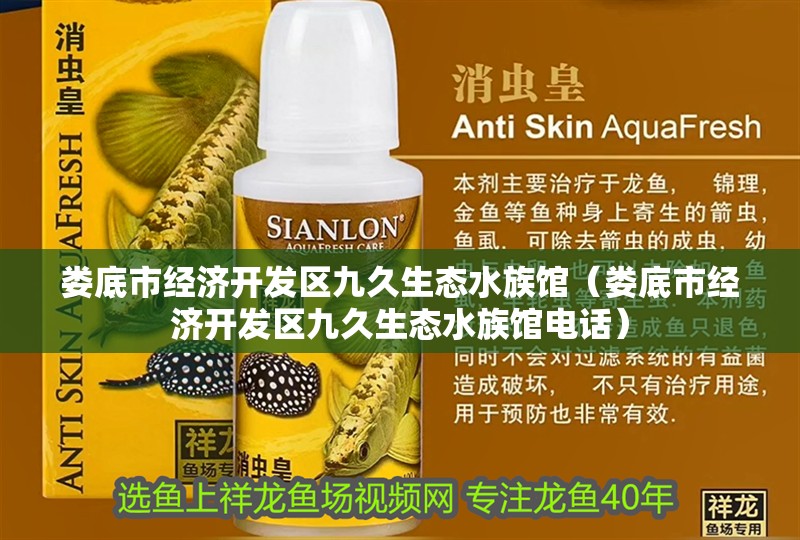 婁底市經(jīng)濟開發(fā)區(qū)九久生態(tài)水族館（婁底市經(jīng)濟開發(fā)區(qū)九久生態(tài)水族館電話）
