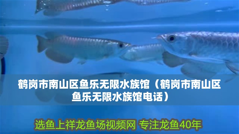 鶴崗市南山區魚樂無限水族館（鶴崗市南山區魚樂無限水族館電話）