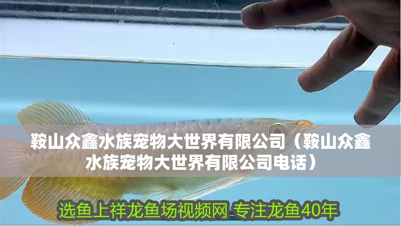 鞍山眾鑫水族寵物大世界有限公司（鞍山眾鑫水族寵物大世界有限公司電話）