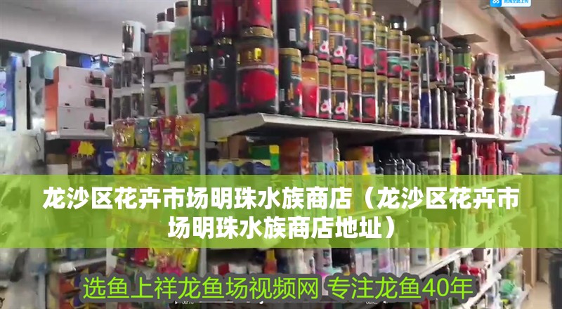 龍沙區(qū)花卉市場(chǎng)明珠水族商店（龍沙區(qū)花卉市場(chǎng)明珠水族商店地址）