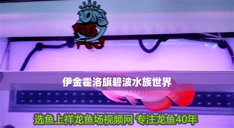 伊金霍洛旗碧波水族世界