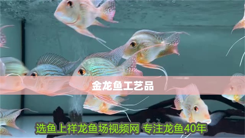 金龍魚工藝品