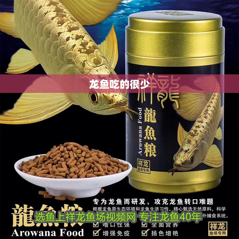龍魚吃的很少