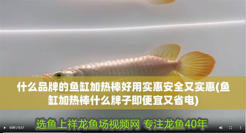 什么品牌的魚缸加熱棒好用實(shí)惠安全又實(shí)惠(魚缸加熱棒什么牌子即便宜又省電)