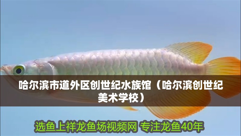 哈爾濱市道外區(qū)創(chuàng)世紀(jì)水族館（哈爾濱創(chuàng)世紀(jì)美術(shù)學(xué)校）