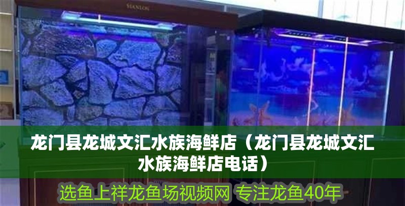 龍門縣龍城文匯水族海鮮店（龍門縣龍城文匯水族海鮮店電話）