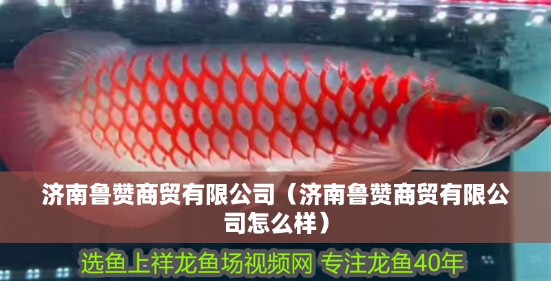 濟南魯贊商貿有限公司（濟南魯贊商貿有限公司怎么樣）