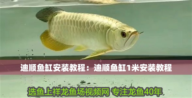 迪順魚缸安裝教程：迪順魚缸1米安裝教程