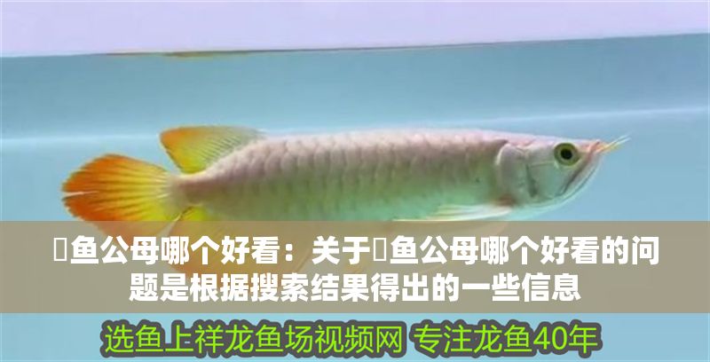 魟魚公母哪個好看：關于魟魚公母哪個好看的問題是根據搜索結果得出的一些信息