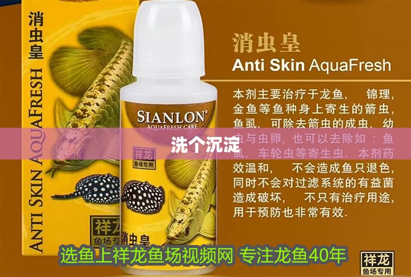 洗個(gè)沉淀 紅龍魚(yú)百科 第2張 洗個(gè)沉淀 洗個(gè)沉淀 紅龍魚(yú)百科 第2張