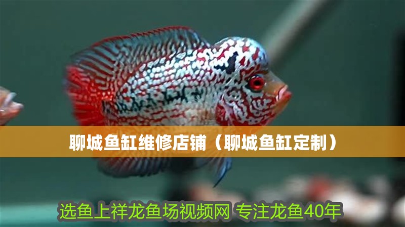 聊城魚缸維修店鋪（聊城魚缸定制）