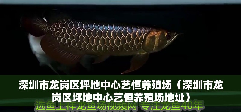 深圳市龍崗區坪地中心藝恒養殖場（深圳市龍崗區坪地中心藝恒養殖場地址）