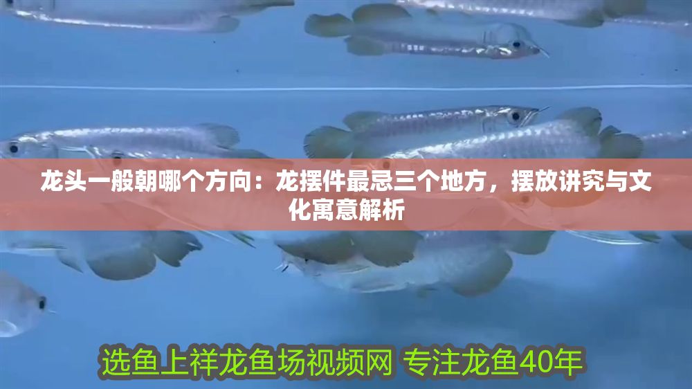 詳細閱讀:龍頭一般朝哪個方向:龍擺件最忌三個地方,擺放講究與文化寓意解析 龍頭一般朝哪個方向:龍擺件最忌三個地方,擺放講究與文化寓意解析