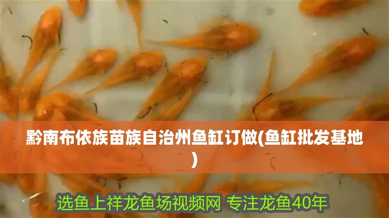 黔南布依族苗族自治州魚缸訂做(魚缸批發基地)