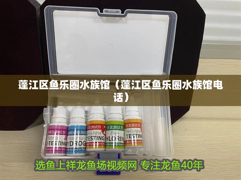 蓬江區(qū)魚樂圈水族館（蓬江區(qū)魚樂圈水族館電話）