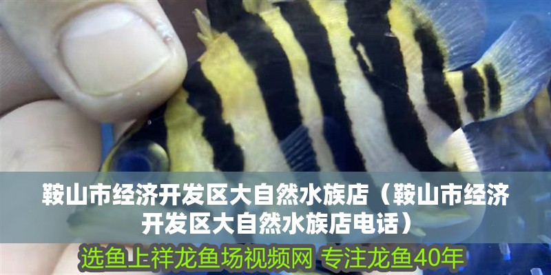 鞍山市經濟開發區大自然水族店(鞍山市經濟開發區大自然水族店電話) 全國水族館企業名錄 第2張 鞍山市經濟開發區大自然水族店(鞍山市經濟開發區大自然水族店電話) 鞍山市經濟開發區大自然水族店(鞍山市經濟開發區大自然水族店電話) 全國水族館企業名錄 第2張