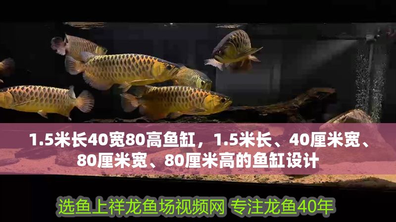 1.5米長40寬80高魚缸，1.5米長、40厘米寬、80厘米寬、80厘米高的魚缸設計