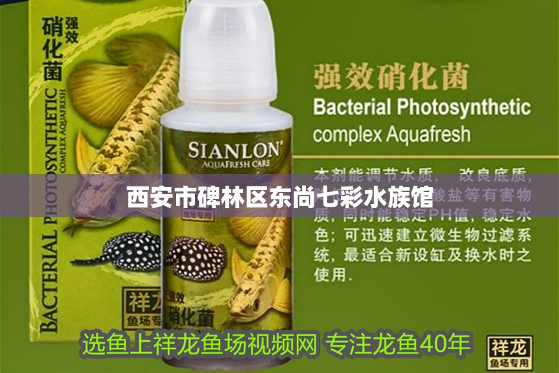 西安市碑林區(qū)東尚七彩水族館
