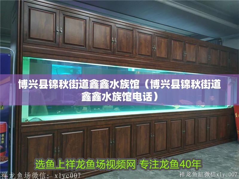 博興縣錦秋街道鑫鑫水族館（博興縣錦秋街道鑫鑫水族館電話）